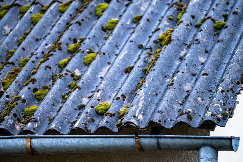 Cleaning Rubber Roofs